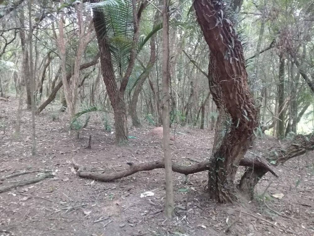 Loteamento e Condomínio, 1200 m² - Foto 2