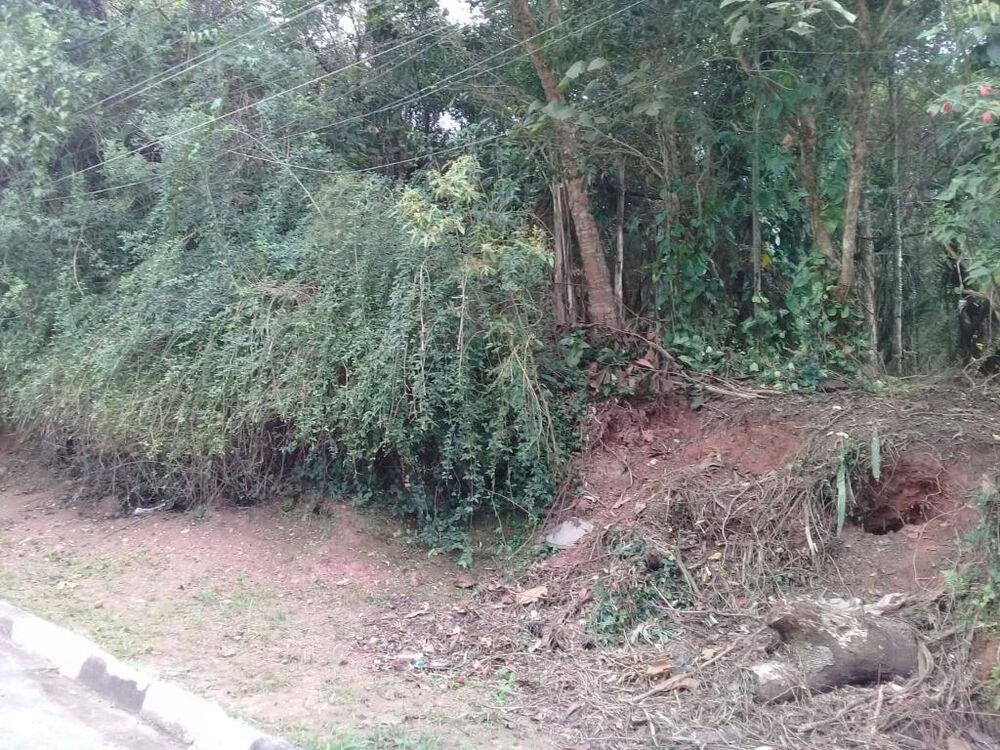 Loteamento e Condomínio, 1200 m² - Foto 6