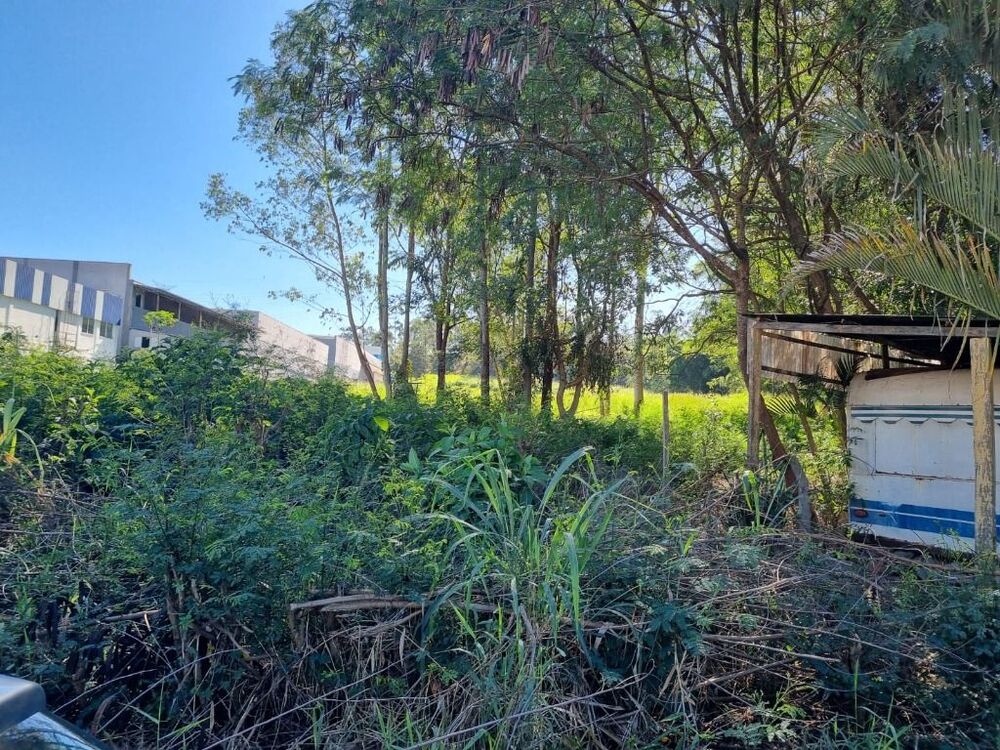 Terreno, 2 hectares - Foto 1