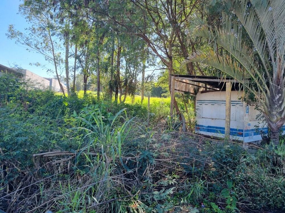 Terreno, 2 hectares - Foto 6