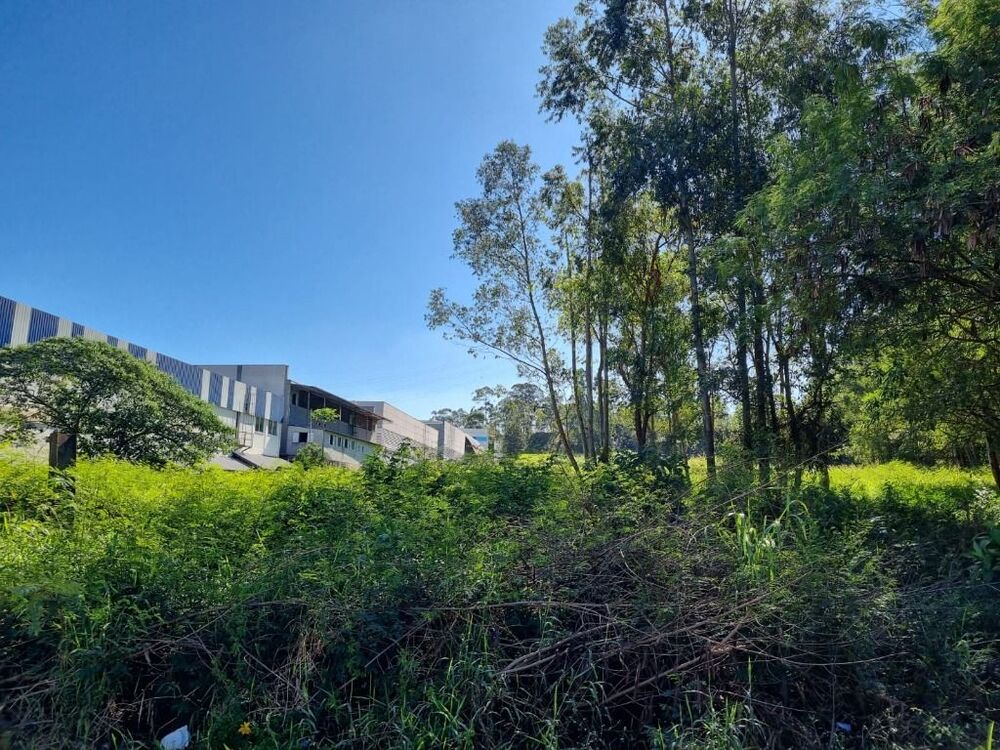 Terreno, 2 hectares - Foto 3