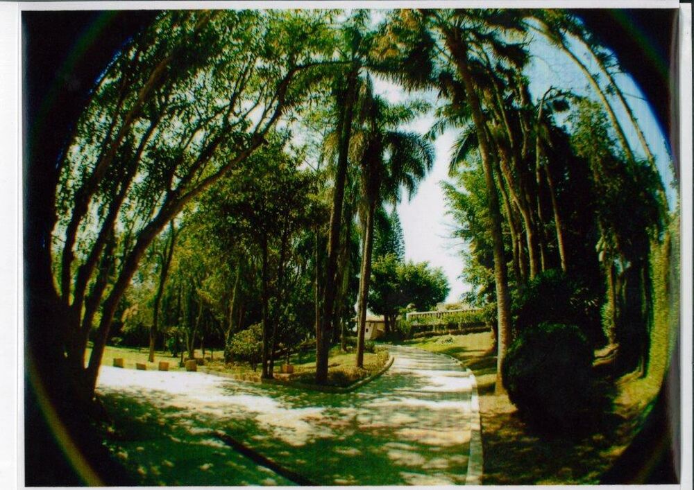 Casa, 4 quartos, 789 m² - Foto 2