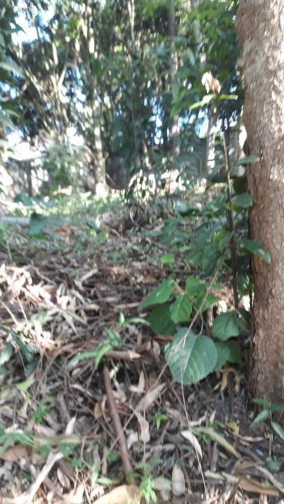 Loteamento e Condomínio à venda, 520m² - Foto 4