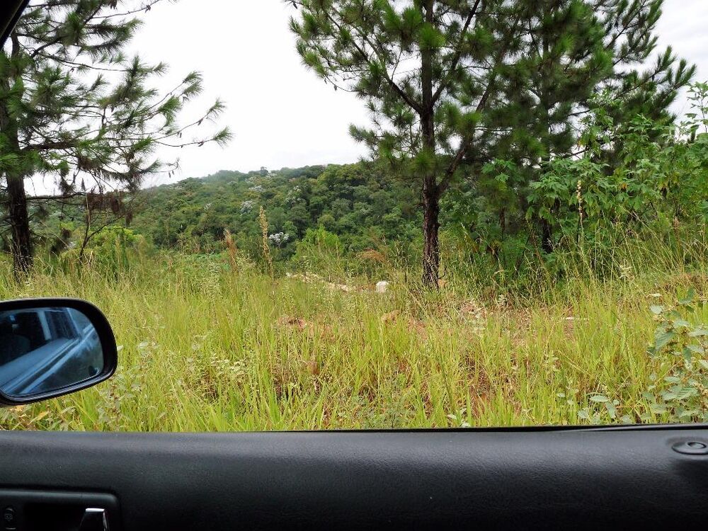 Loteamento e Condomínio, 555 m² - Foto 5