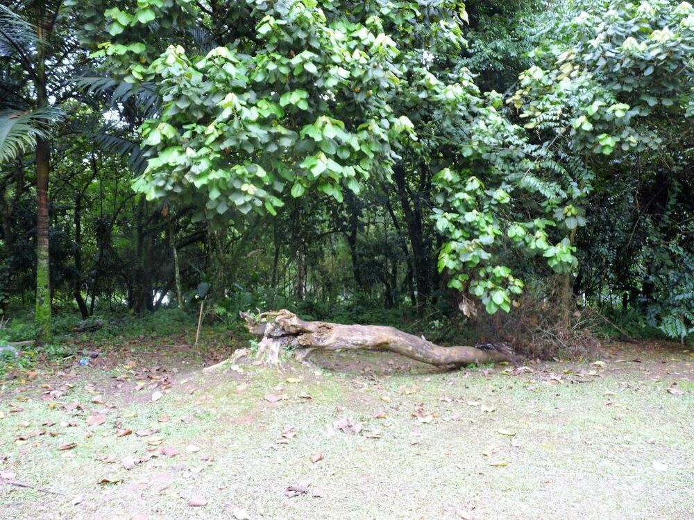 Loteamento e Condomínio, 555 m² - Foto 4