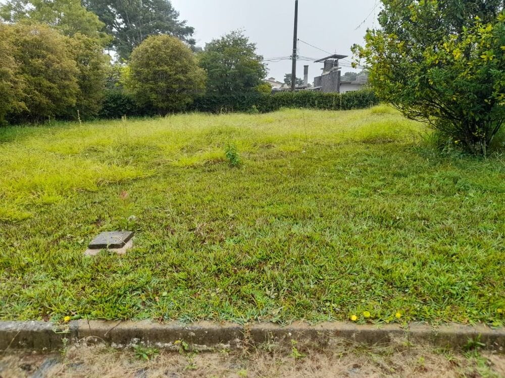 Terreno, 3280 m² - Foto 6