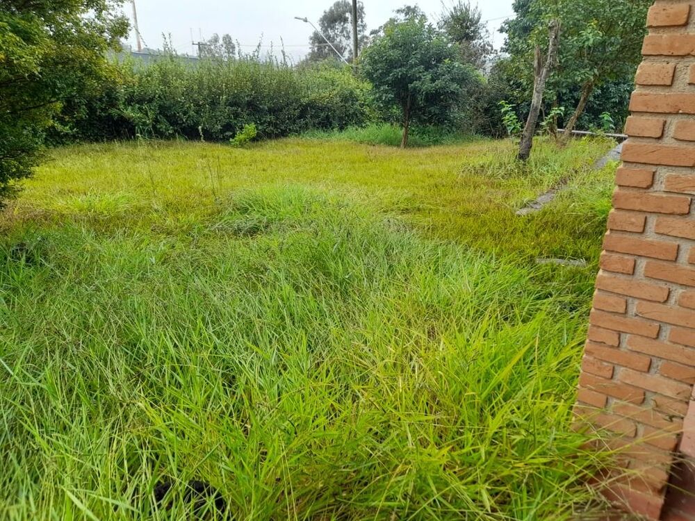 Terreno, 3280 m² - Foto 3