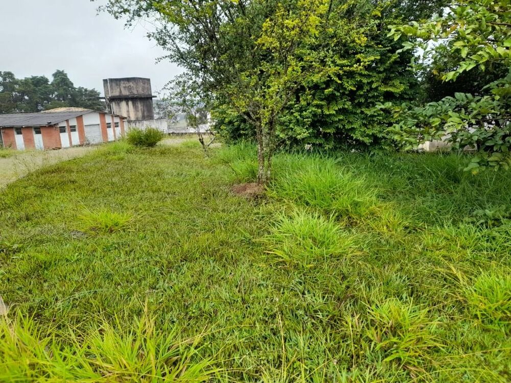 Terreno, 3280 m² - Foto 5