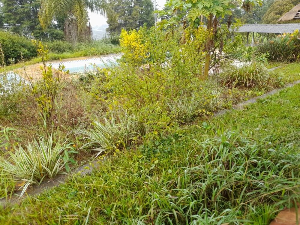 Terreno, 3280 m² - Foto 7