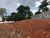 Loteamento e Condomínio, 1000 m² - Foto 2