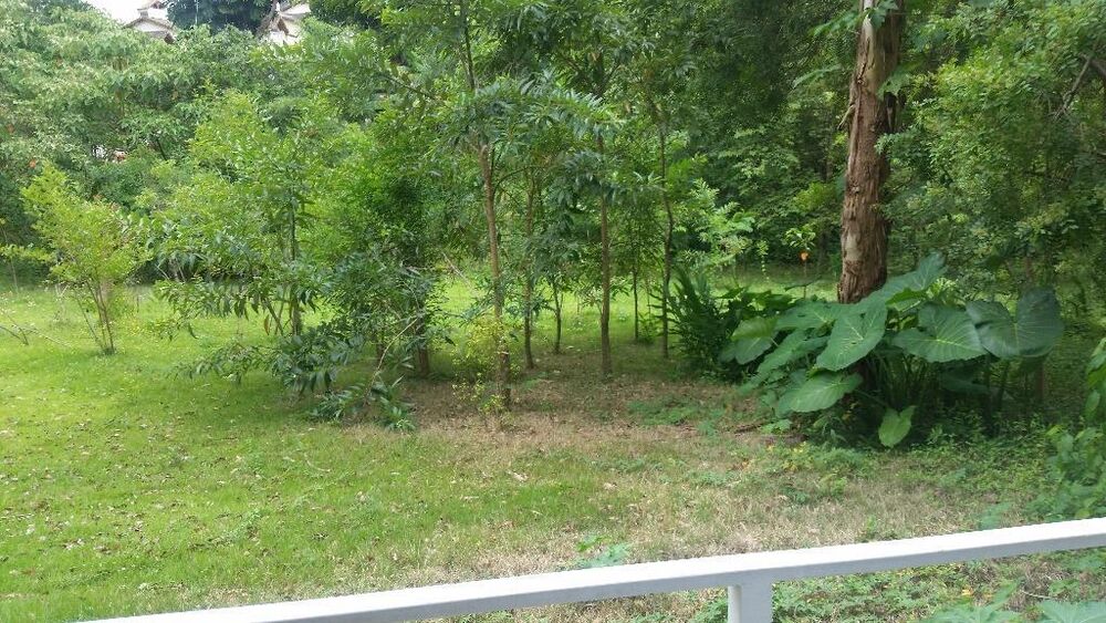 Apartamento, 2 quartos, 54 m² - Foto 7
