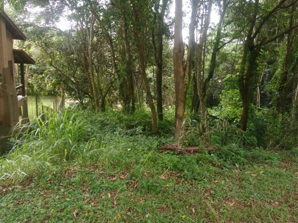 Loteamento e Condomínio, 600 m² - Foto 5