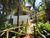 Casa de Condomínio, 5 quartos - Foto 6