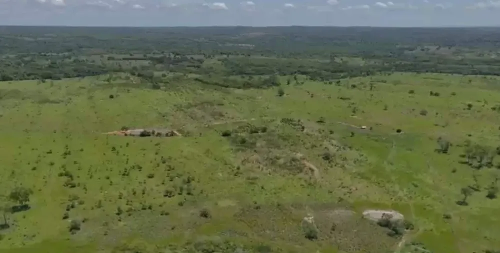 Fazenda - Foto 6
