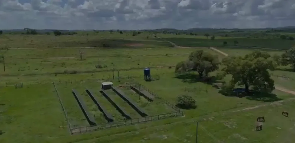 Fazenda - Foto 5