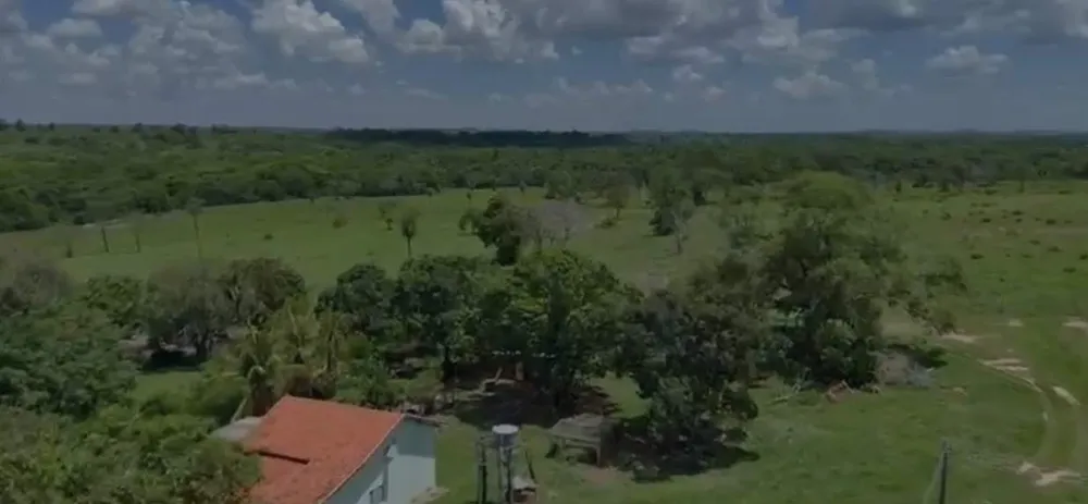 Fazenda - Foto 4