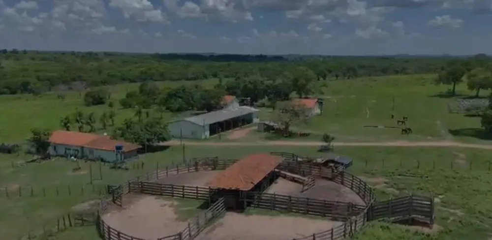 Fazenda - Foto 3