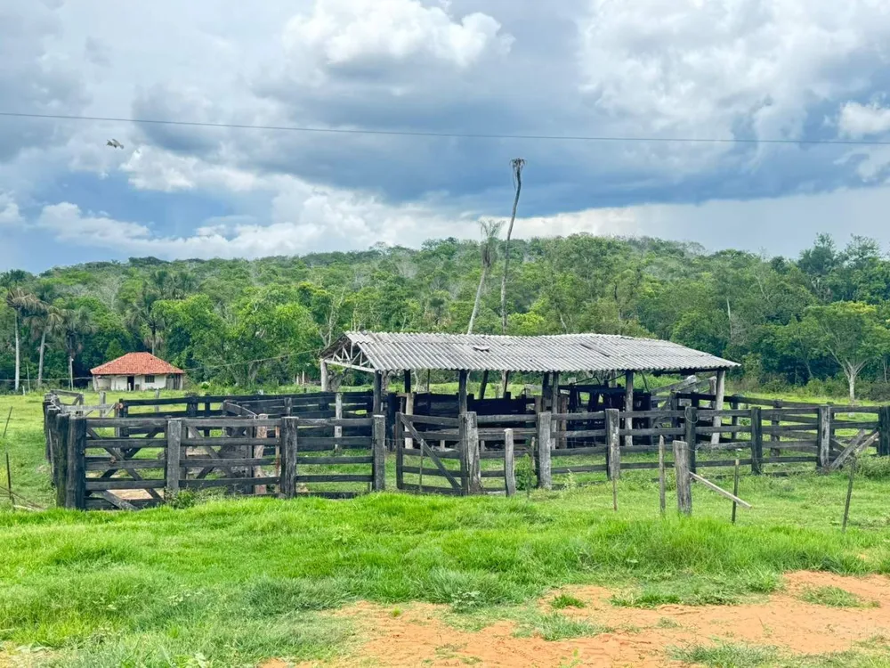 Fazenda - Foto 2