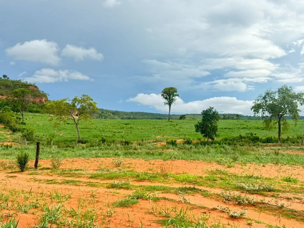 Fazenda - Foto 7