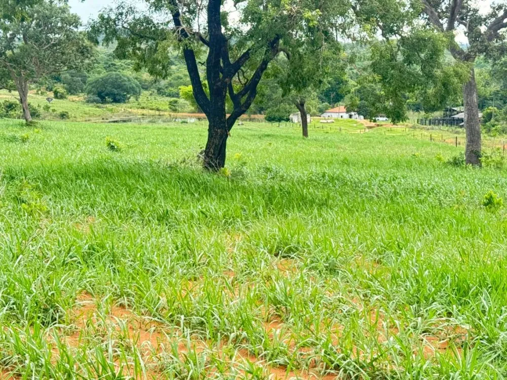 Fazenda - Foto 8