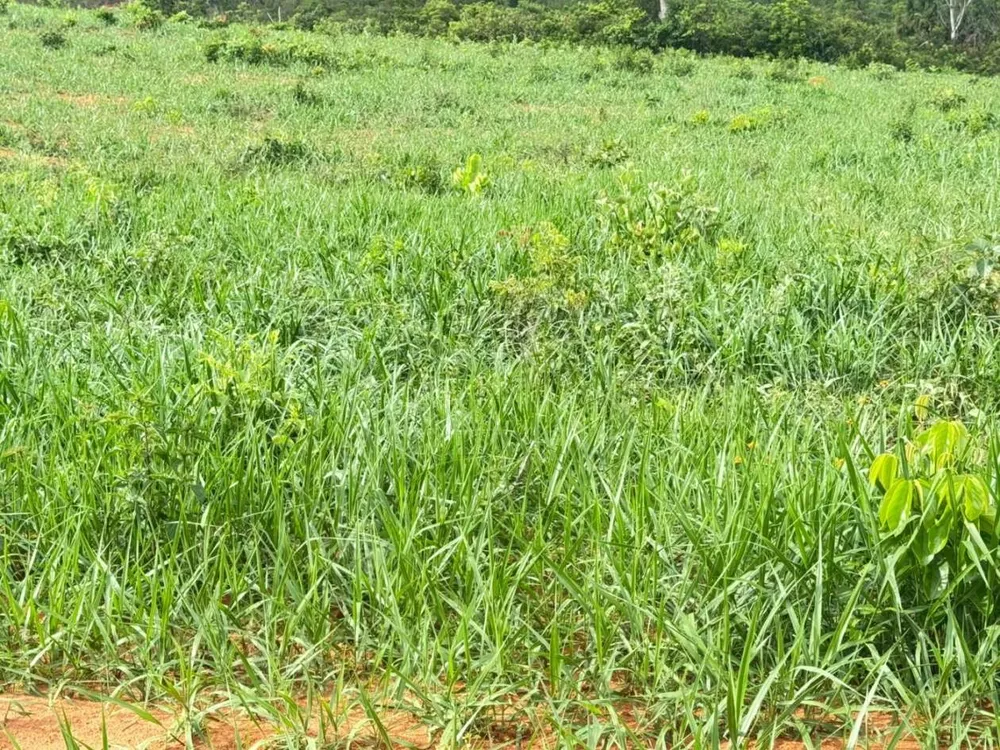 Fazenda - Foto 4