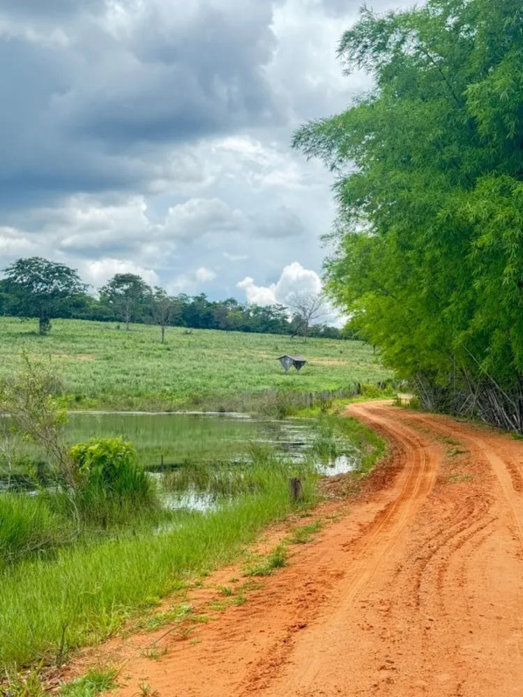 Fazenda - Foto 1