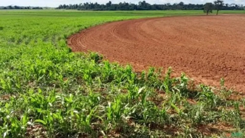 Fazenda, 21 m² - Foto 3