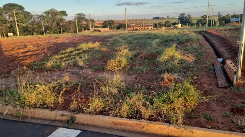 Terreno, 250 m² - Foto 2