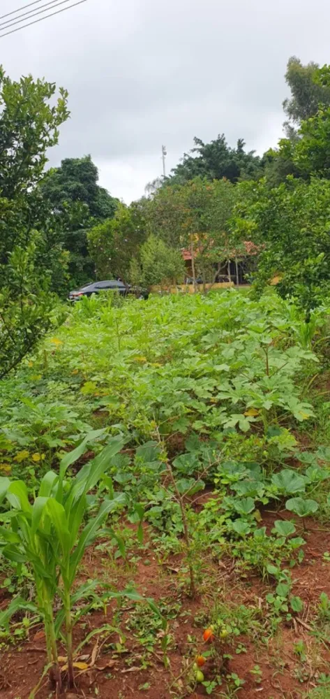 Chácara, 1 quarto, 5000 m² - Foto 2