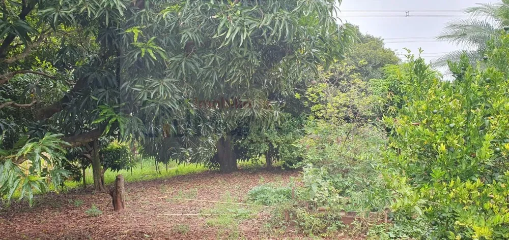 Chácara, 1 quarto, 5000 m² - Foto 1