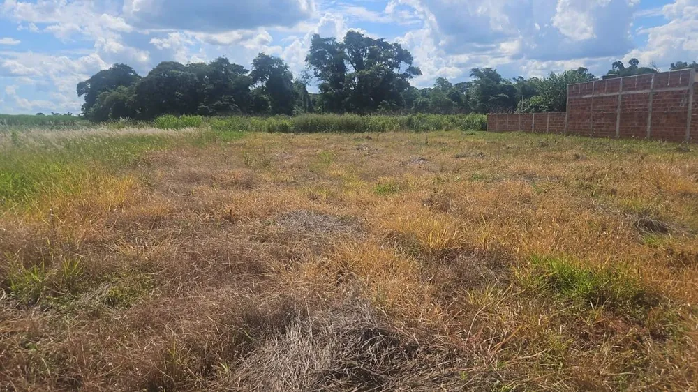 Terreno, 1000 m² - Foto 4