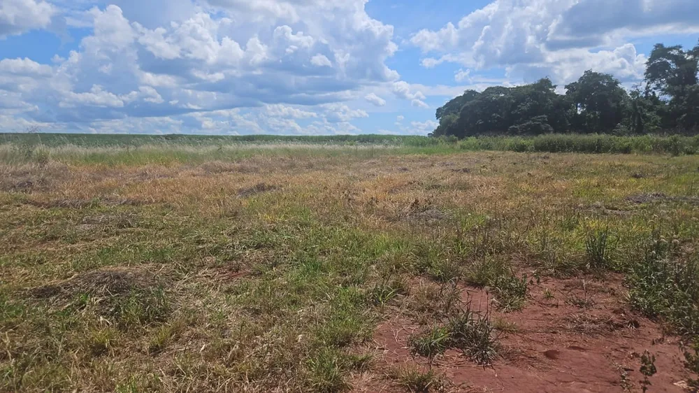 Terreno, 1000 m² - Foto 2