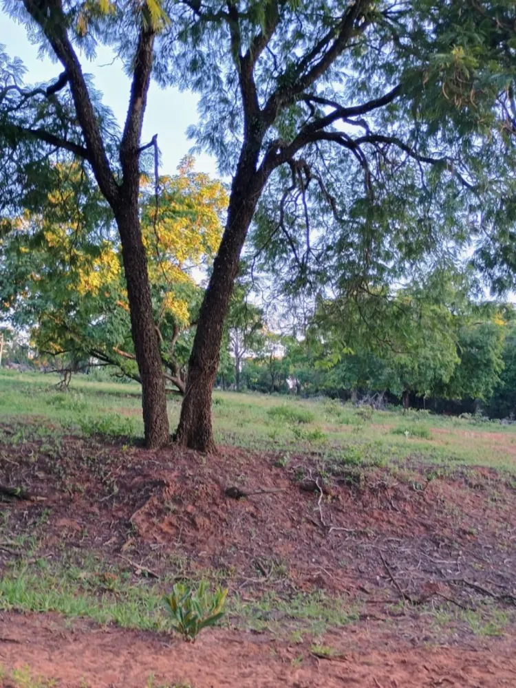 Loteamento e Condomínio, 7 m² - Foto 7