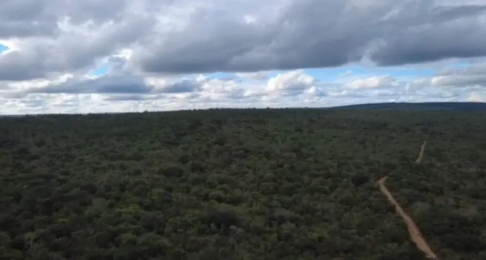 Fazenda - Foto 1