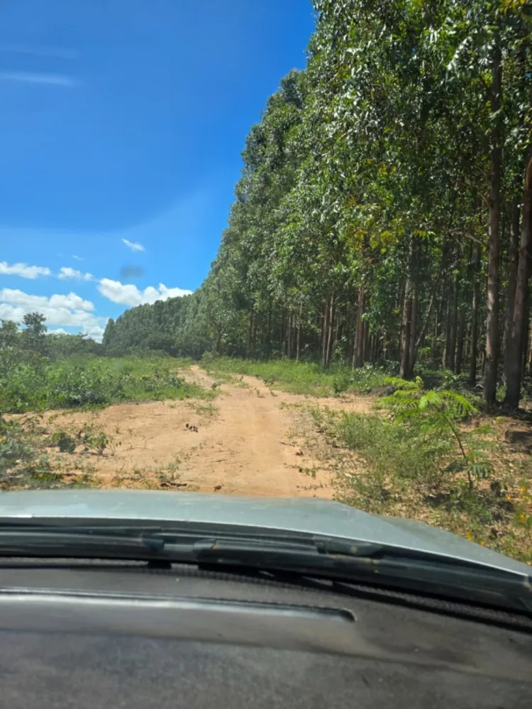 Fazenda - Foto 5