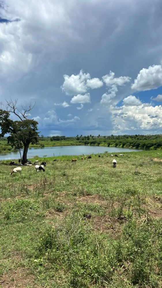 Fazenda - Foto 3