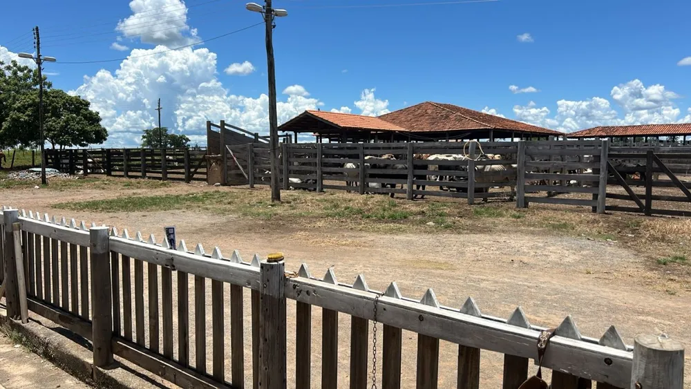 Fazenda - Foto 8