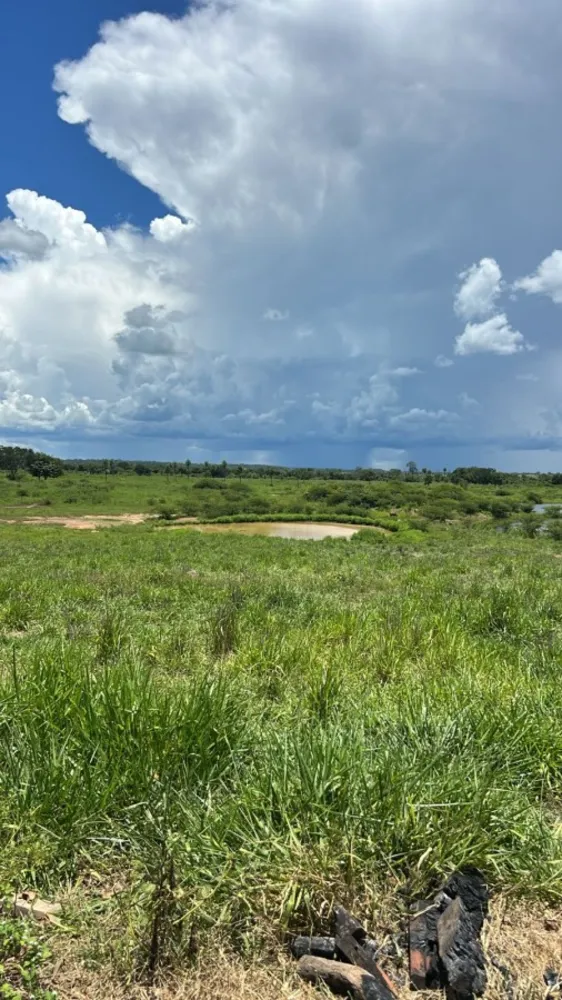 Fazenda - Foto 4