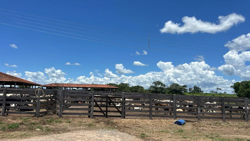 Fazenda - Foto 2