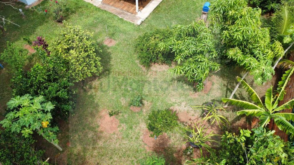 Chácara, 3 quartos, 1000 m² - Foto 9