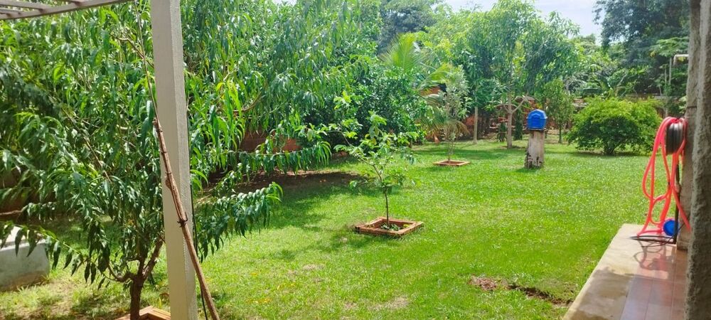 Chácara, 3 quartos, 1000 m² - Foto 41