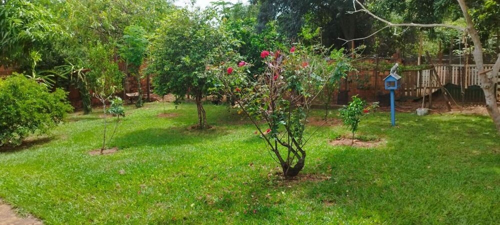 Chácara, 3 quartos, 1000 m² - Foto 29