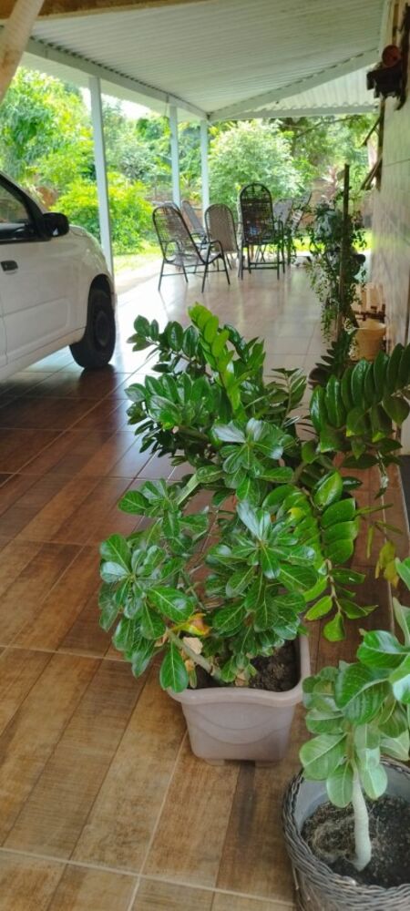 Chácara, 3 quartos, 1000 m² - Foto 37