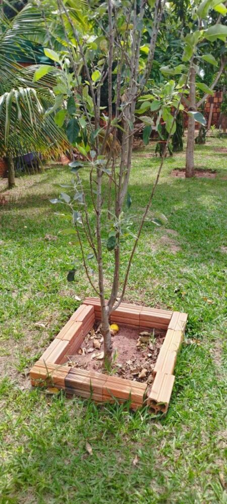 Chácara, 3 quartos, 1000 m² - Foto 13