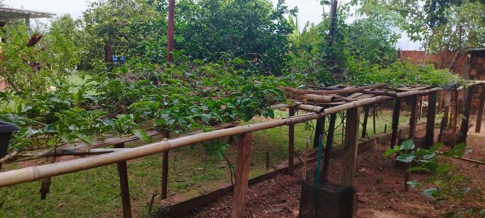 Chácara, 3 quartos, 1000 m² - Foto 8