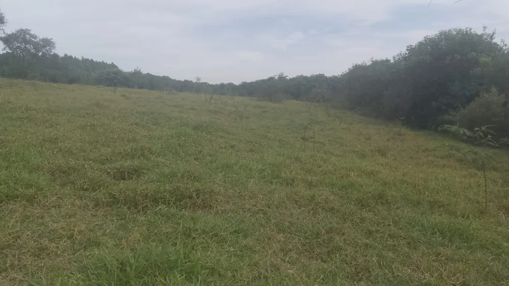 Terreno, 5500 m² - Foto 3