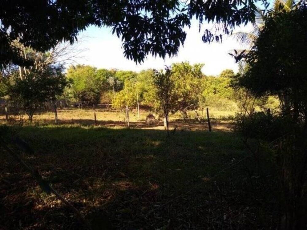 Chácara, 4 quartos, 1 hectares - Foto 3