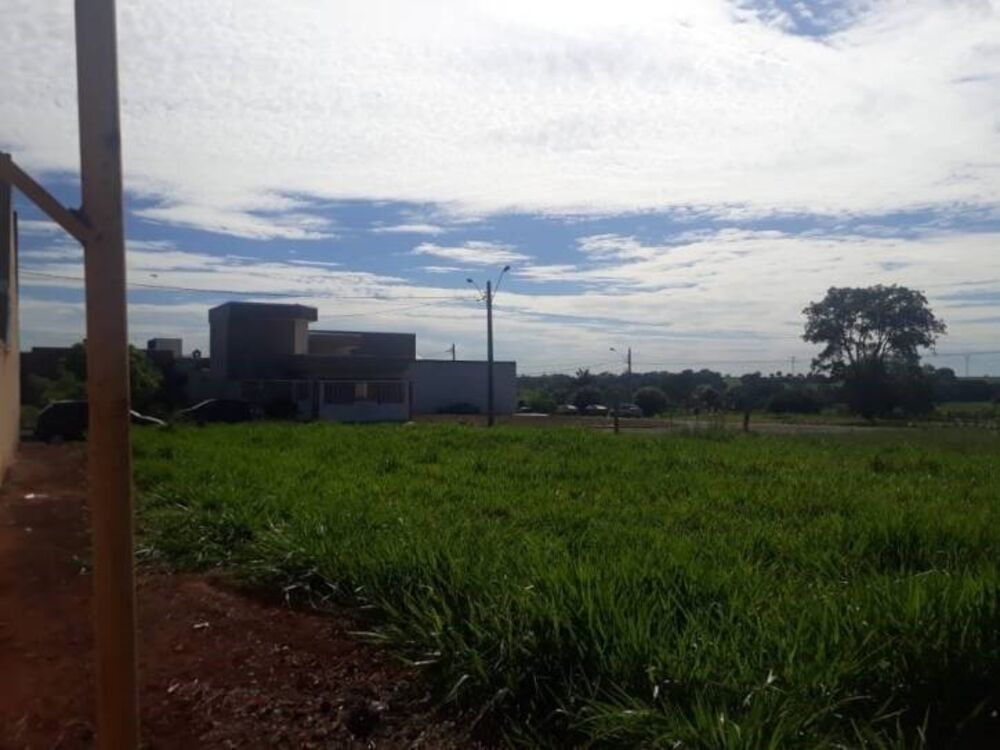 Terreno, 250 m² - Foto 4