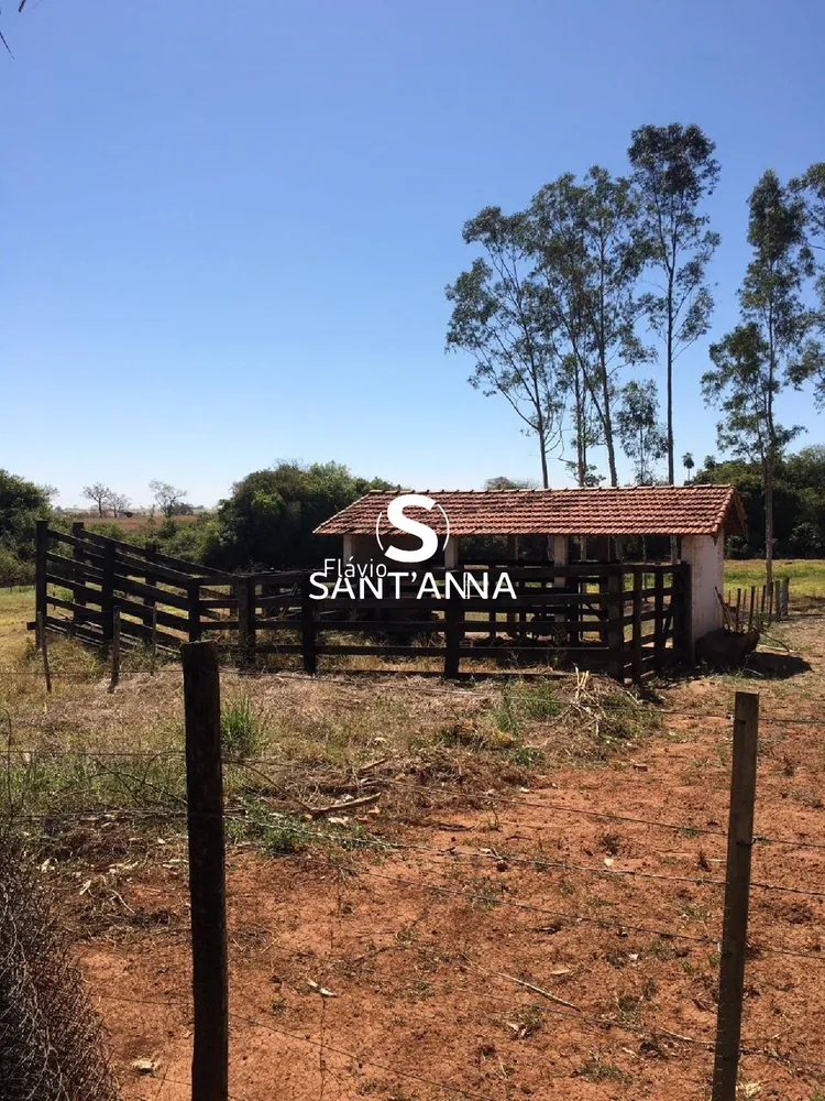 Chácara, 6 quartos, 2 hectares - Foto 29