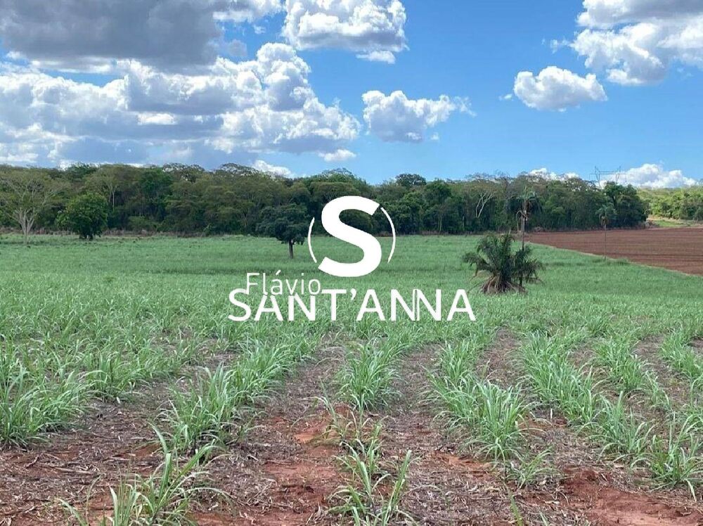 Sítio, 1 quarto, 19 m² - Foto 3